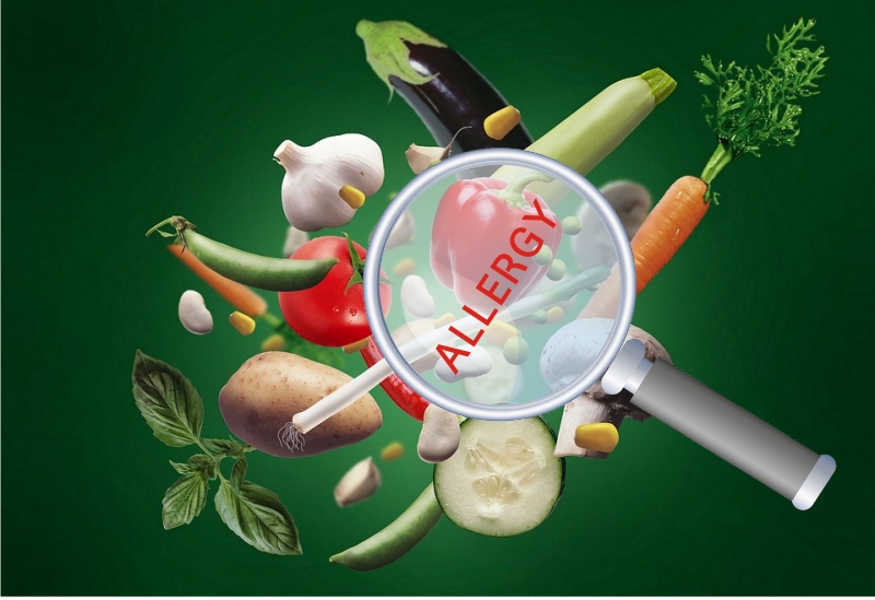 ��ǰ���� ������ �˷�����(hidden allergen)�� ���輺