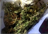 "������ �� ���̷� �Ѿƿ�" �ڼ��س��� ���� �⵿���� 33�� ������ ����