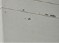 [��õ���� ��ũ��Ʈ ����] ���������� ����Ʈ