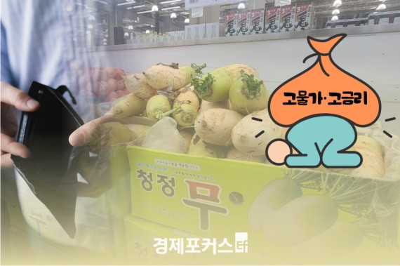 �����������ݸ����� �� ��ݱ� �����Һ� 20�� ���� ����