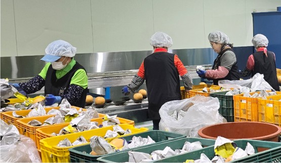 ���� ������ 60���� �븸 �����