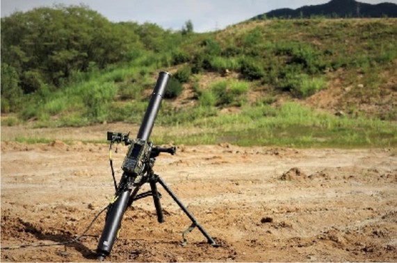 ���� �ڰ��� ��ü�� ����С�, ��õ(����) �� ���� �Ұ��� ���� ���� ���