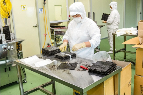 ������, ���� �ְ� �� ����� 1�� �޷� �޼�