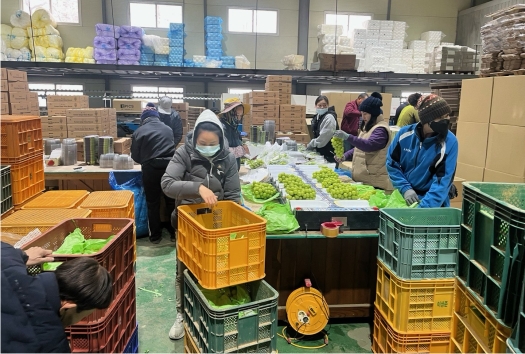 ��� ���ǰ 1��2�� ����� 1��2300���޷��������� 23.6%��