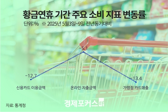 Ȳ�ݿ��޿��� �Һ� 