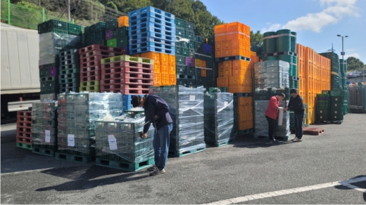 ���ֱ�ġ 1500kg 1��3000�޷� ��� �̱��� ����