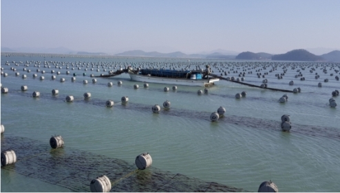 ������ �����ǰ ���� 33�� �޷� ���ġ����� �ִ� ���� �޼�