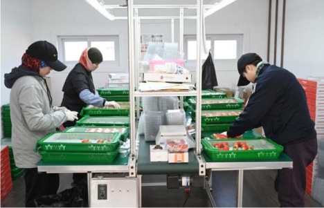 ȫ�� ����, 1�� 33��9000�޷� ���⡦�泲 1�������� 5��