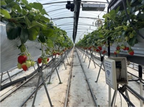 ���, ���ݽǡ� ���� ����� Ȯ�ꡦ������ ���� ����� ��ȭ